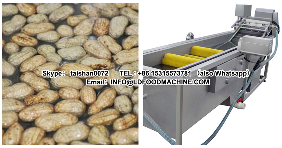 Commercial Leafy Vegetable Fruits Washer/Bubble Washing machinery