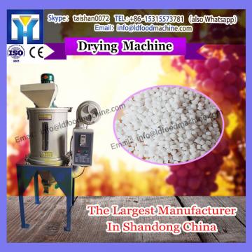 2015 high quality stainless steel Chinese Sale Dried Fruit durian drying machinery