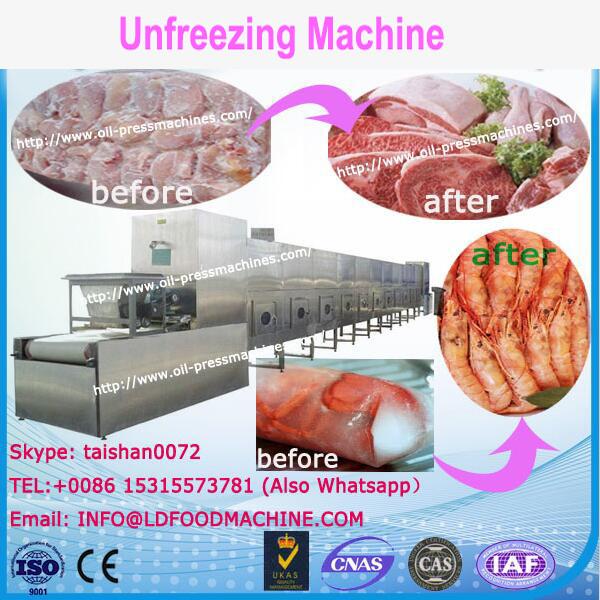 Best quality frozen food meat thawing machinery/vegetable unfreezing machinery/frozen meat thaw machinery